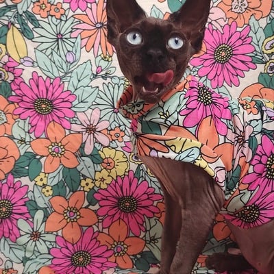 Superbloom - sleepwear