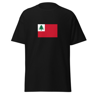 Usa - new englanders (yankees) | ethnic american flag interactive t-shirt