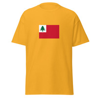 USA - New Englanders (Yankees) | Ethnic American Flag Interactive T-shirt - Thumbnail 28