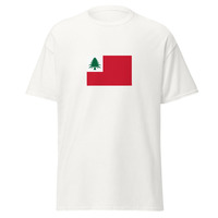 USA - New Englanders (Yankees) | Ethnic American Flag Interactive T-shirt - Thumbnail 6