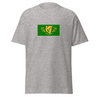 USA - Irish Americans | Ethnic American Flag Interactive T-shirt - Thumbnail 2