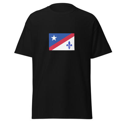 USA - French Americans | Ethnic American Flag Interactive T-shirt