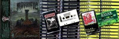 Bloom of Poison Storm 3 pack!! 