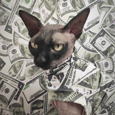 You're so money! - sleepwear