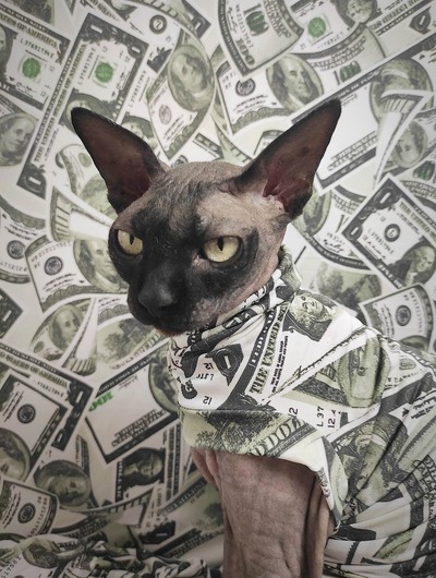 You're So Money! - Sleepwear