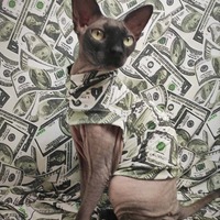 You're So Money! - Sleepwear - Thumbnail 2