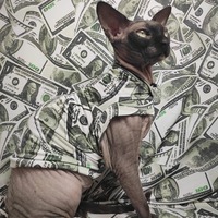 You're So Money! - Sleepwear - Thumbnail 1