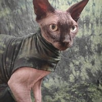 Deep Forrest - Sleepwear - Thumbnail 2