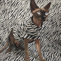 Animalize - Sweaterknit - Thumbnail 1