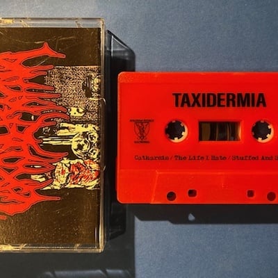 Taxidermia - demo 2023 - Thumbnail 3