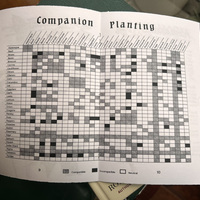 Ecotonal Bugaragara Issue #1 - Thumbnail 2