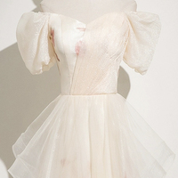 Champagne Tulle Printed Long Prom Dress, Beautiful A-line Party Dress - Thumbnail 4