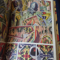 BEDETRUITE - Thumbnail 5