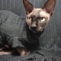 Black Summer - Cable Knit Sweater - Thumbnail 2