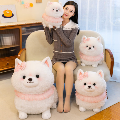Pomeranian doll plush toy
