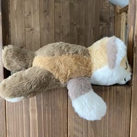 Feve Mustelid Plush 11” - Thumbnail 3