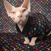 Meowakami - Thumbnail 1