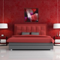 Velo Nova 24 X 24 Art Print - Thumbnail 3