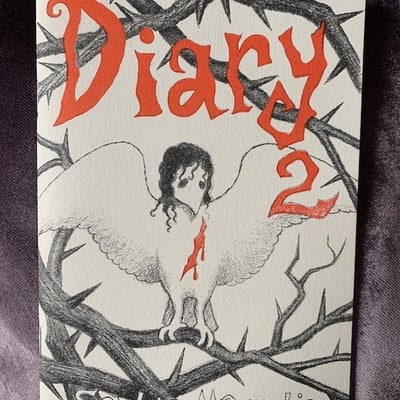 Diary 2 (zine)