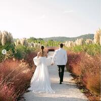 Simple Ball Gown Off the Shoulder Wedding Dress Bridal Gown Wedding Gown - Thumbnail 1