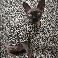 Animal Print - Thumbnail 1