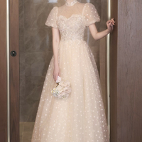 Champagne Tulle Sequins Long A-Prom Party Dress - Thumbnail 2