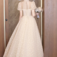 Champagne Tulle Sequins Long A-Prom Party Dress - Thumbnail 3