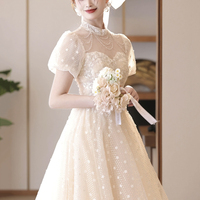 Champagne Tulle Sequins Long A-Prom Party Dress - Thumbnail 4