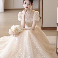 Champagne Tulle Sequins Long A-Prom Party Dress - Thumbnail 5