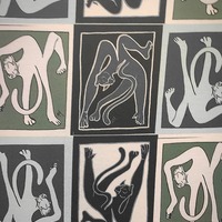 Sphynx Picatso - Thumbnail 3