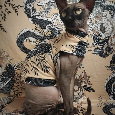 Fighting japanese dragons - sleepwear