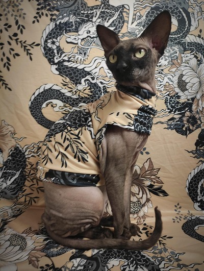 Fighting Japanese Dragons - Sleepwear