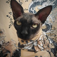 Fighting Japanese Dragons - Sleepwear - Thumbnail 2