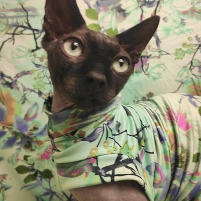 Hanging garden - sleepwear