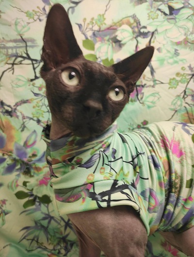 Hanging Garden - Sleepwear