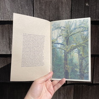 OREGON - Thumbnail 1