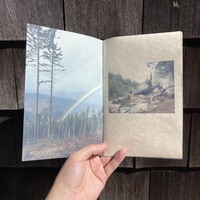 OREGON - Thumbnail 2