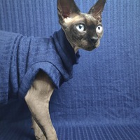 Blue Summer - Cable Knit Sweater - Thumbnail 1