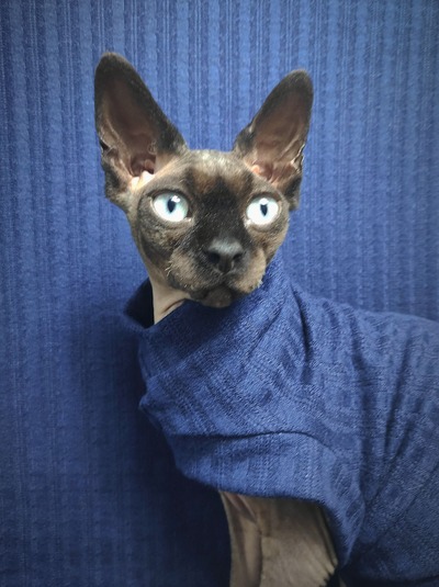 Blue Summer - Cable Knit Sweater