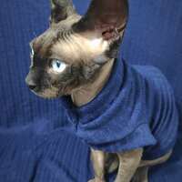 Blue Summer - Cable Knit Sweater - Thumbnail 2