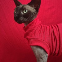 Red Rocket Ribbed For Her Pleasure  - Thumbnail 2