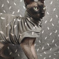 Go Speed Lightning! - Thumbnail 2