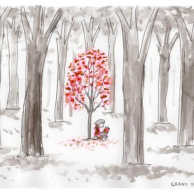 "lost in the woods" poster