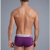 Monday Bamboo fiber Purple men's boxer briefs 1904PJ - Thumbnail 2