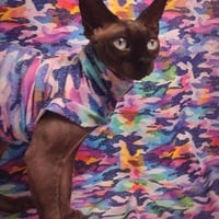 Rainbow Camo Splatter - Swimwear - Thumbnail 1