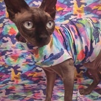 Rainbow Camo Splatter - Swimwear - Thumbnail 2