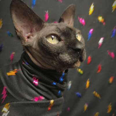 Rainbow lightning - sleepwear