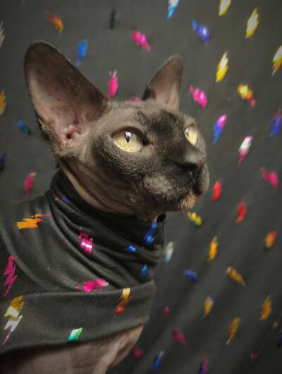 Rainbow Lightning - Sleepwear