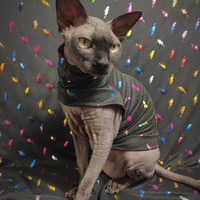 Rainbow Lightning - Sleepwear - Thumbnail 1