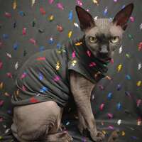 Rainbow Lightning - Sleepwear - Thumbnail 2